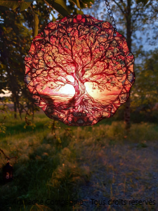 photo argre de vie soleil